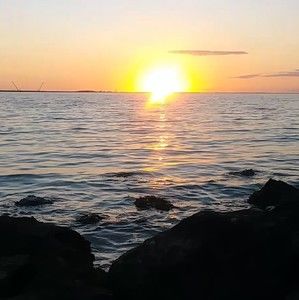 Meet your Posher, Dee